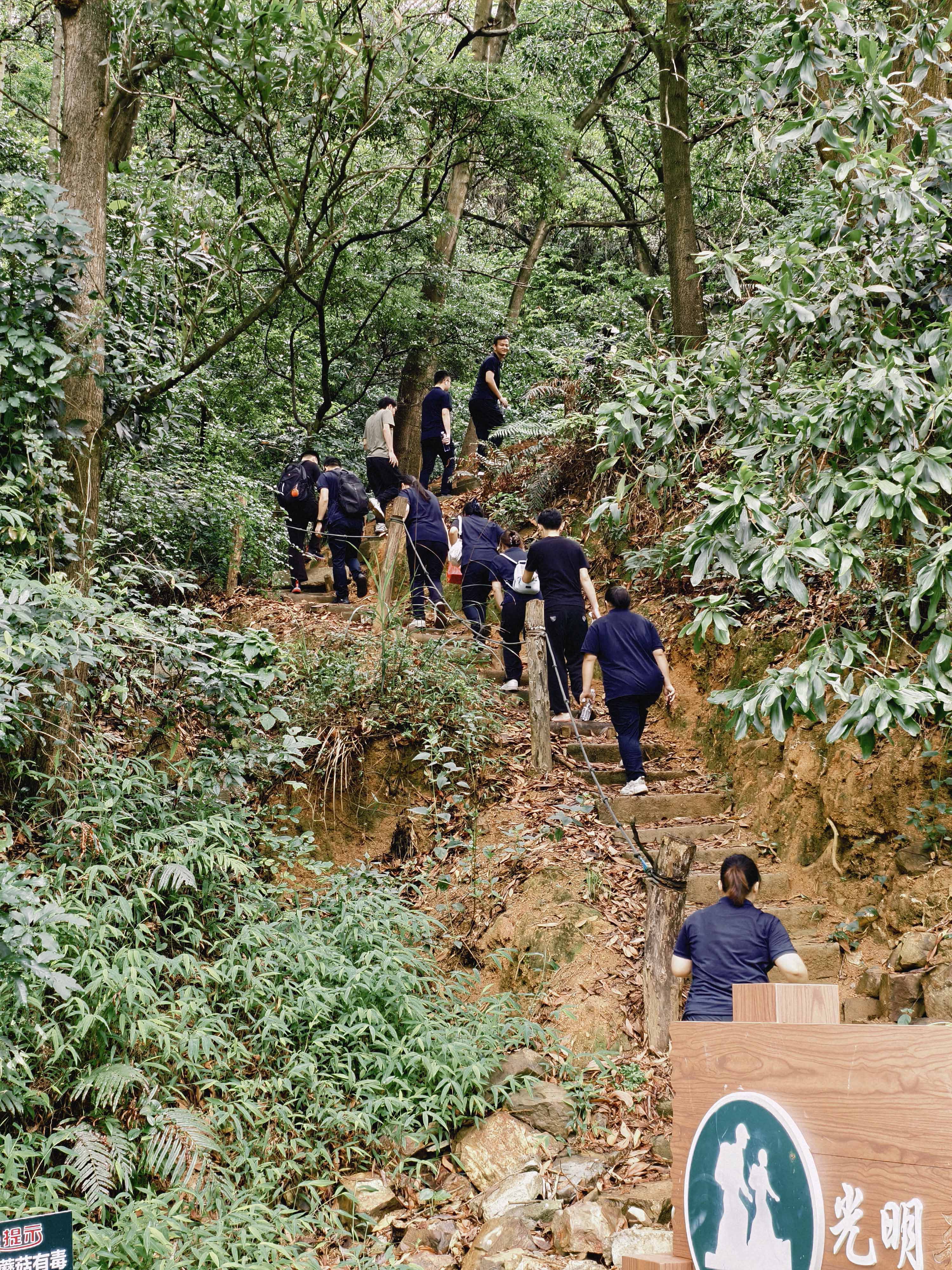久信達科技公司員工齊聚光明區(qū)蠄蜍石，開啟活力爬山之旅暨團建活動(圖2)